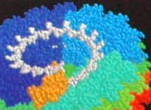 nanobildreihe4